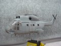 superpuma fertig 1 015