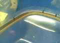 Bild285.jpg