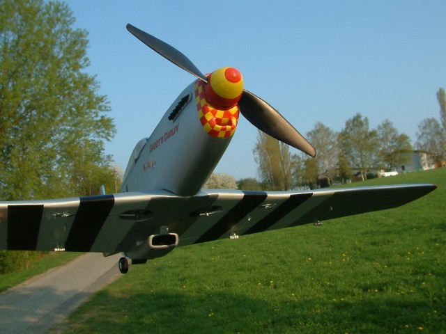 Mustang Flug.JPG