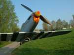 Mustang Flug.JPG