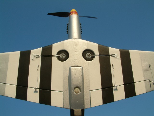 Mustang Flug unten.JPG