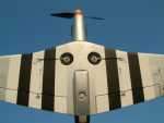 Mustang Flug unten.JPG