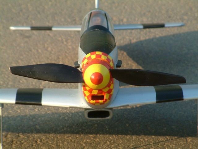 Mustang Front.JPG