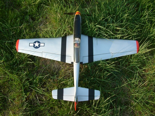 Mustang Gras oben.JPG