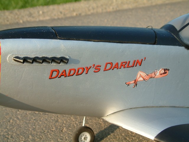 Mustang Schriftzug links.JPG