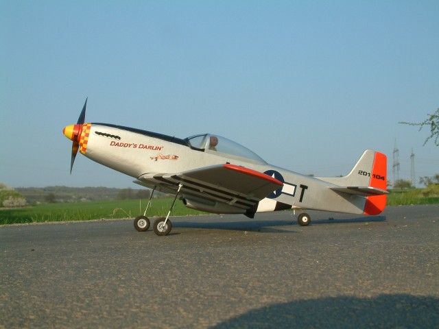 Mustang Seite.JPG