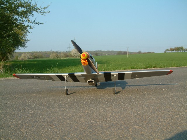 Mustang vorne.JPG