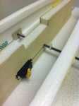 IMG_1492_F.jpg