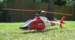 Coast_Guard_T-REX_450_XL_2_.jpg