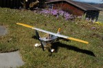 DSC_0596.jpg