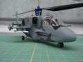 kamov ka52   1 fertig 004.jpg