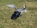 DSC02184.jpg