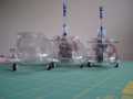 3Hawks1 002.jpg