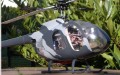 hughes_500_trex_1.jpg