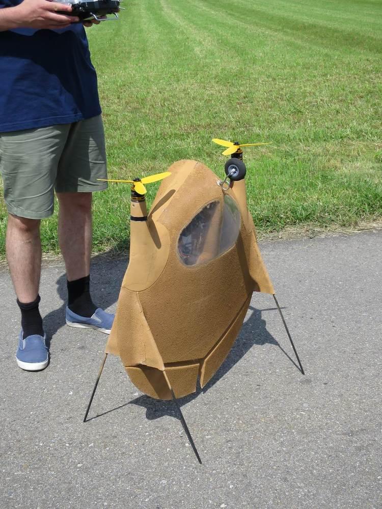 3oloidaler Nurflügler Heloid X1