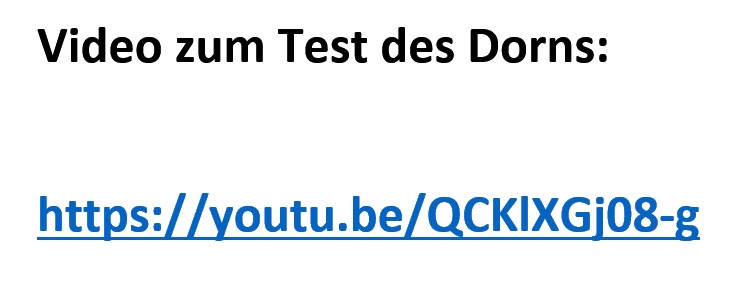 274 Video zum Test des Dorns (274)