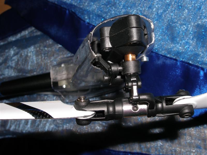 P9260005 (Medium).JPG