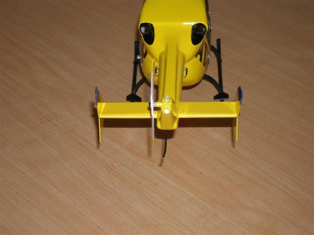 P8190041 (Large).JPG