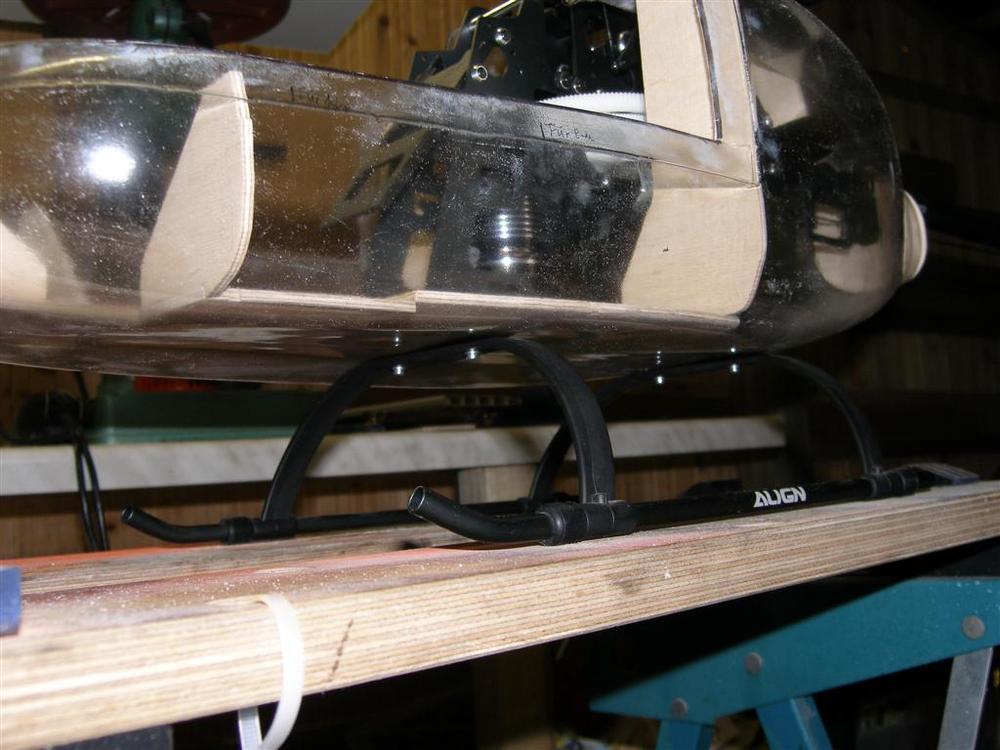 P8240031 (Large).JPG