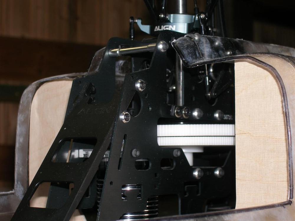 P8240032 (Large).JPG