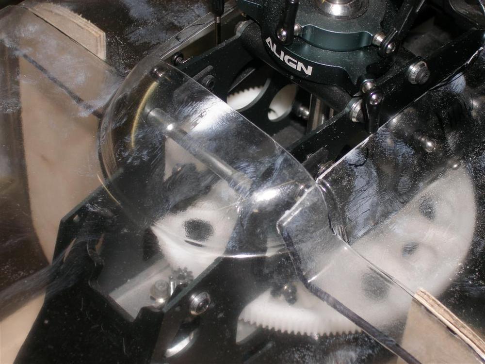 P8240033 (Large).JPG