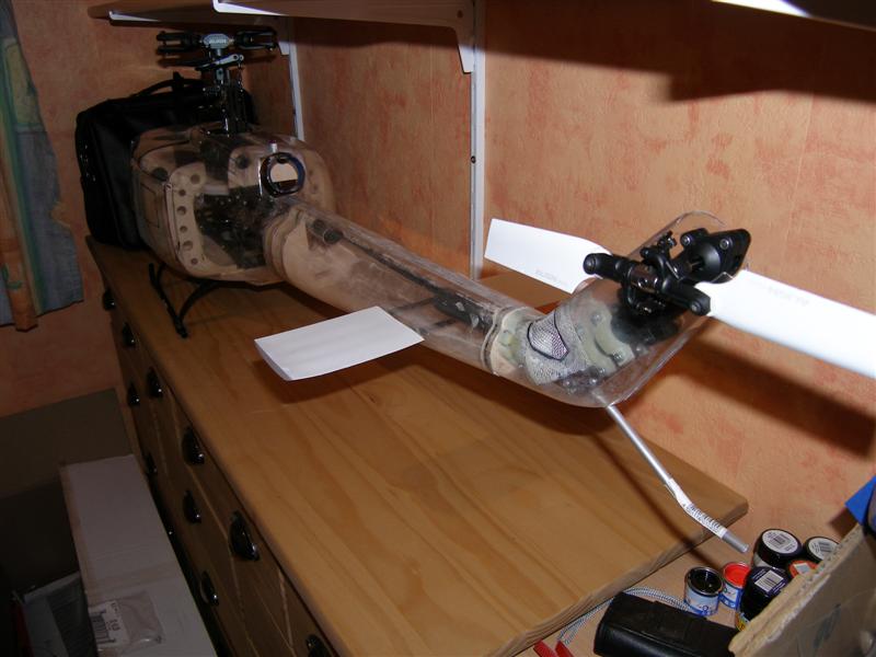 PA190003 (Medium).JPG