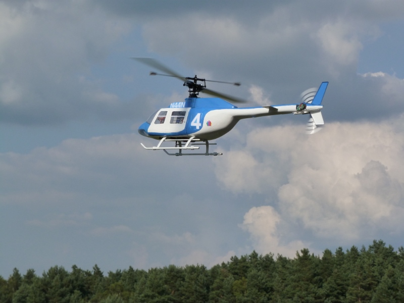 P1030927 (800x600) (800x600)