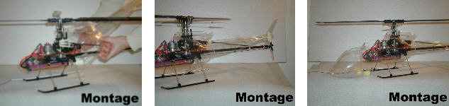 montage.jpg