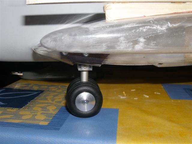 P5210018 _Medium_.JPG