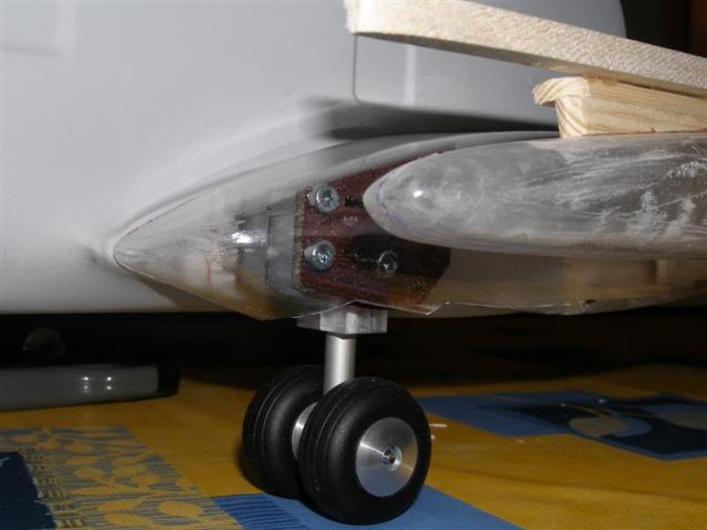 P5210019 _Medium_.JPG