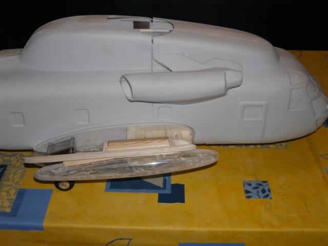 P5210029 _Medium_.JPG