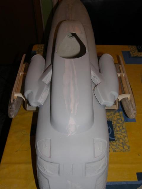 P5210037 _Medium_.JPG