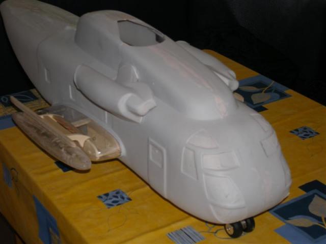 P5210040 _Medium_.JPG