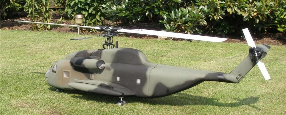 P6230003 (Large).JPG