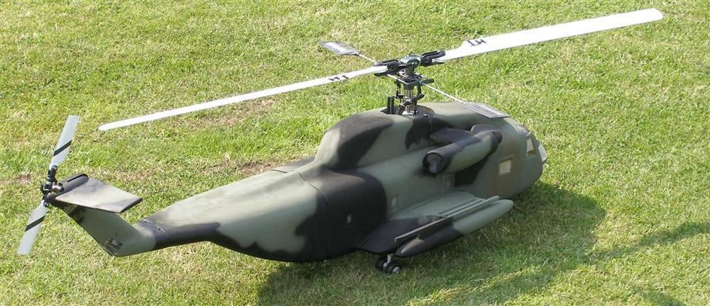 P6230007 (Large).JPG