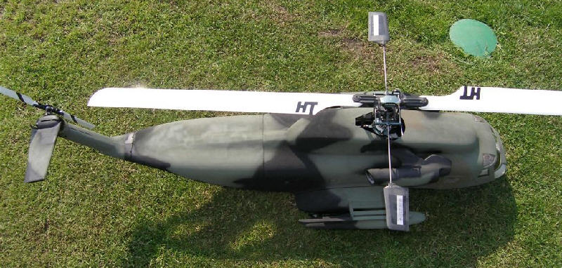 P6230028 (Large).jpg