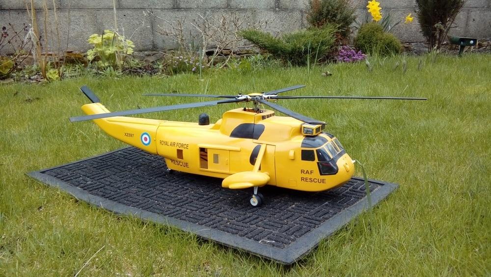 Seaking1