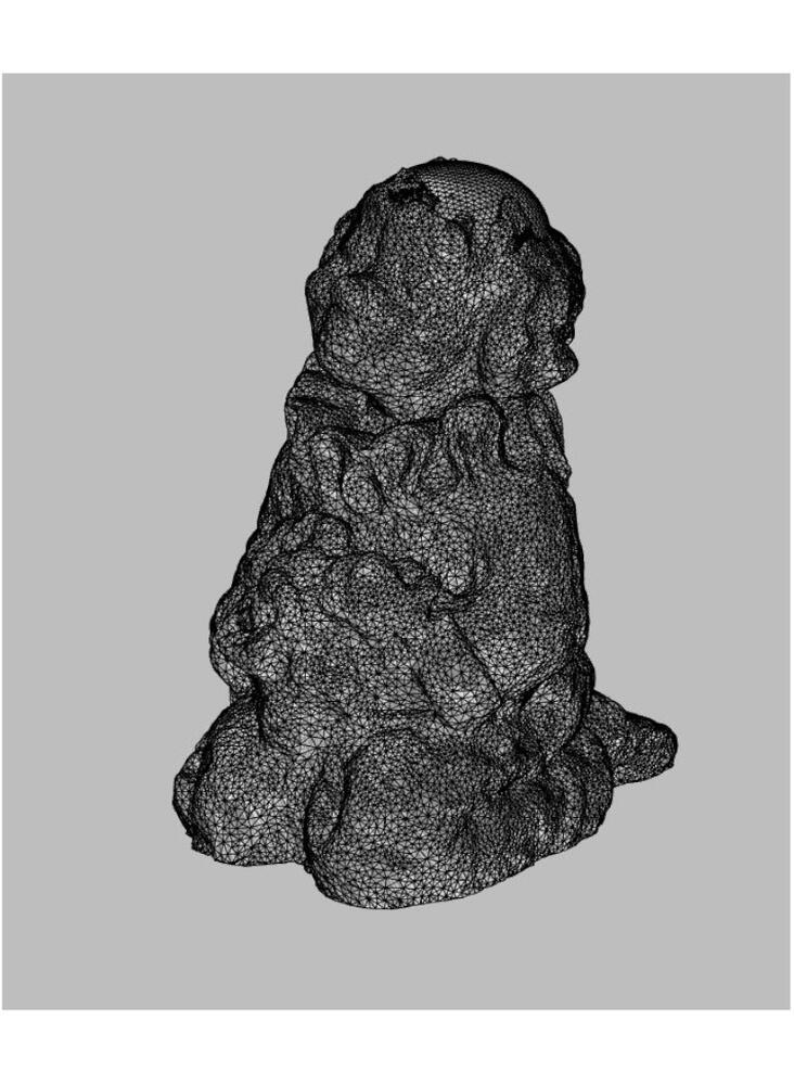 Im Programm erstelltes Mesh (Polygone)