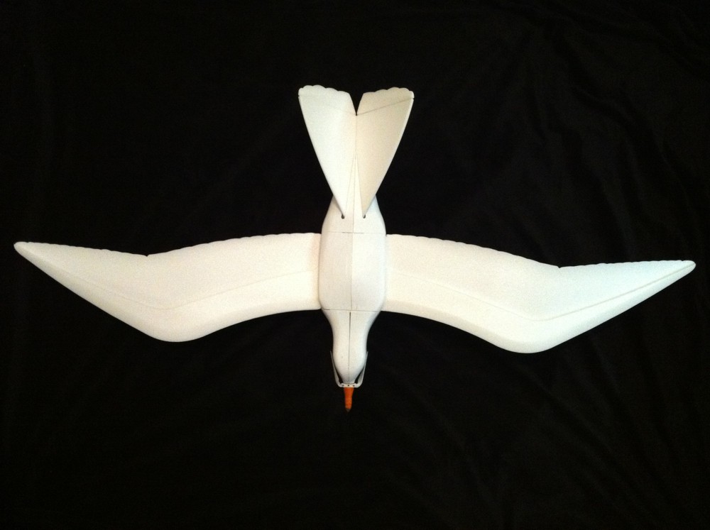 Möwe Spannweite 1300