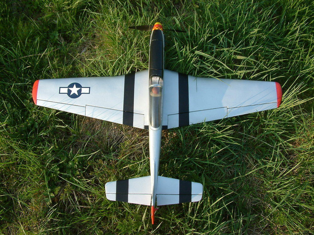 Mustang Gras oben.JPG