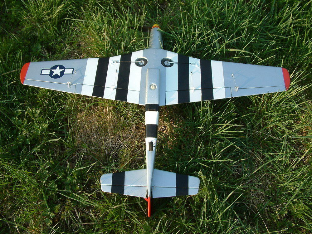 Mustang Gras unten.JPG