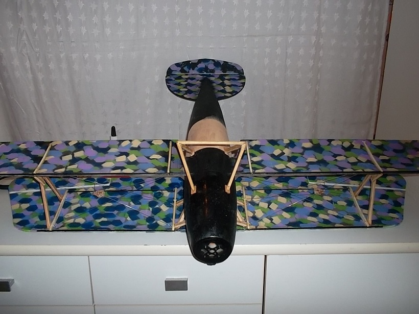 Baubericht Albatros DV_html_mf5f5a99.jpg