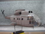 superpuma fertig 1 003