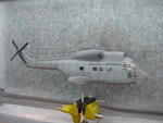 superpuma fertig 1 012