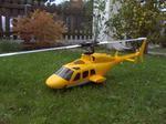 Bell 222 im Garten I