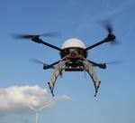 Tamara Vue640 8 8 2019