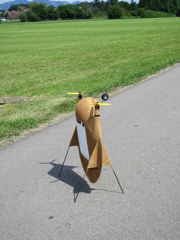 1oloidaler Nurflügler Heloid X1