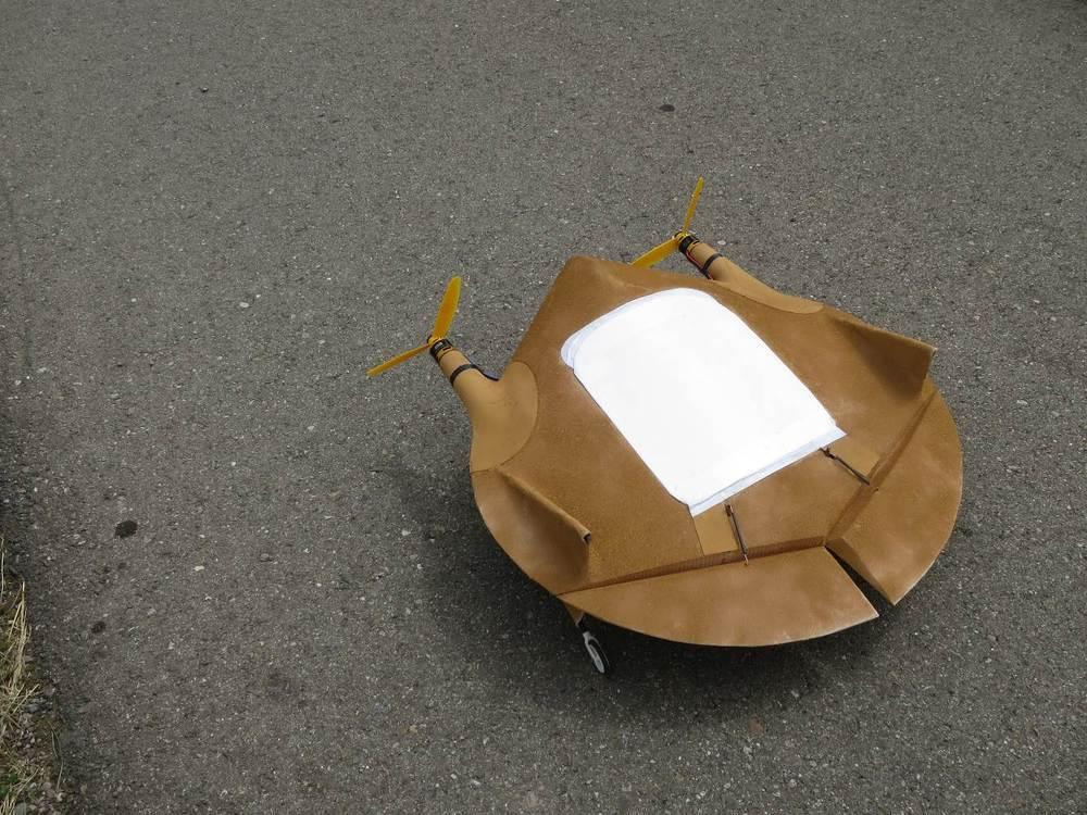 2oloidaler Nurflügler Heloid X1